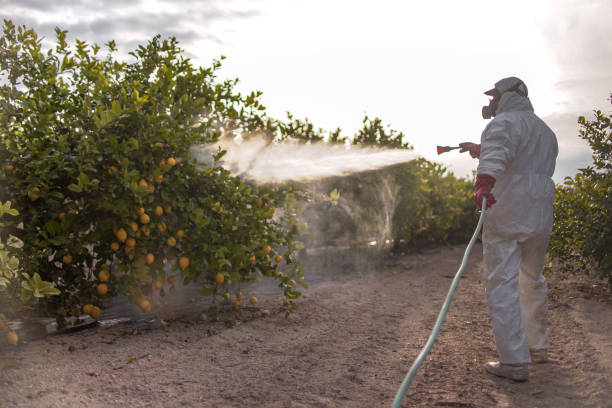 Trusted Winchester, VA Pest Control Experts