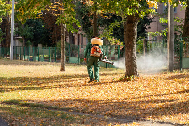 Wasp Removal Services in Winchester, VA